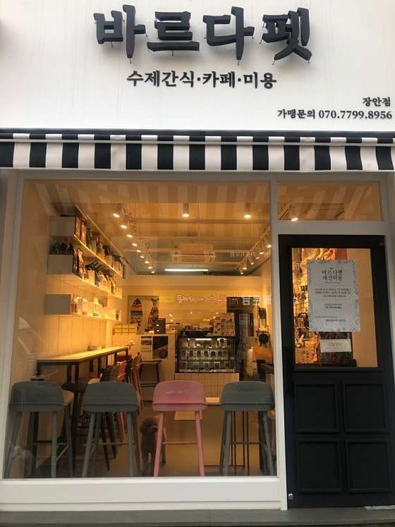 사진 6