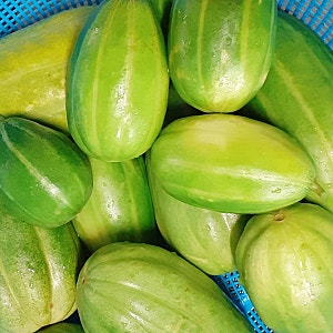 알토란 참외장아찌 만드는법  참외된장 장아찌 만들기