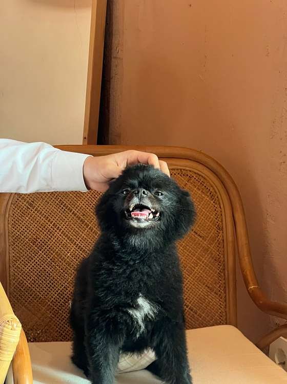 라온베르 사진 5