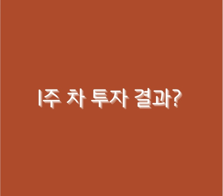  1주 차 투자 결과?