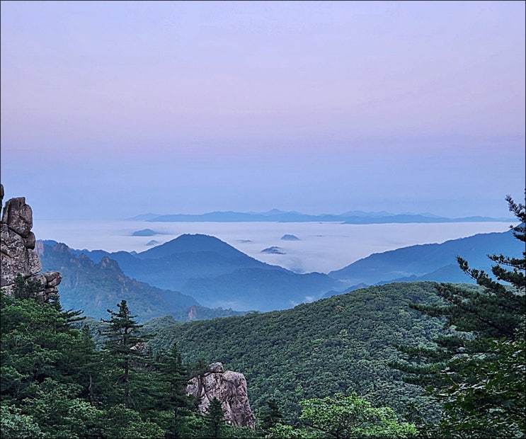  설악산 산행(한계령휴게소~한계령삼거리~끝청~중청~대청봉, 설악산 바람꽃)