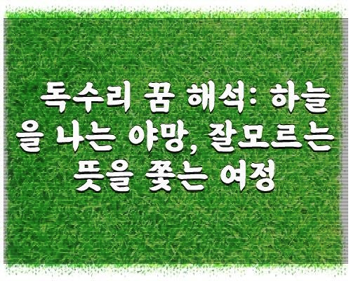 독수리 꿈 해석: 하늘을 나는 야망, 잘모르는 뜻을 쫓는 여정