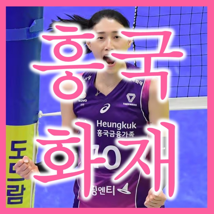  부활하는 흥국화재 주가 배당 실적 및 매매복기