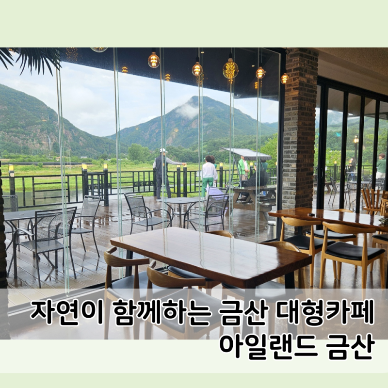 사진 6