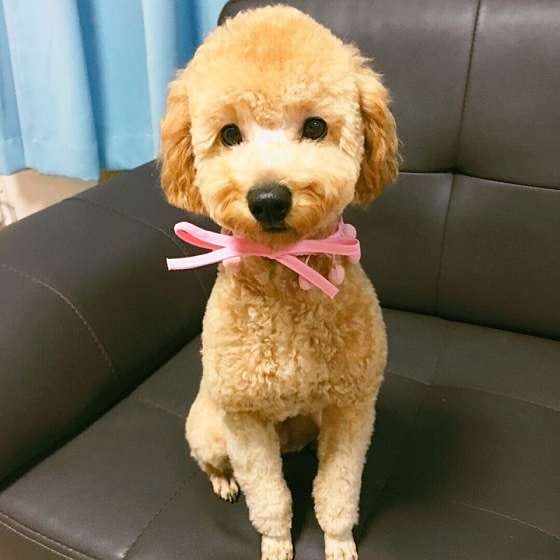 사진 7