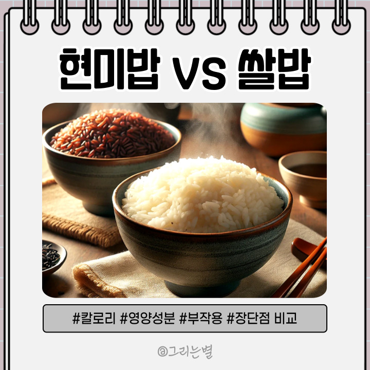  현미밥 쌀밥 뭐가 좋을까? 칼로리 효능 영양성분 부작용 다이어트 시 장단점 비교