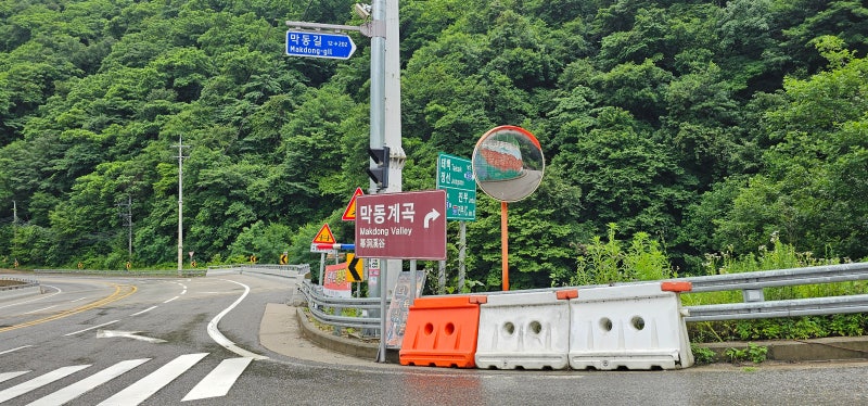 사진 5