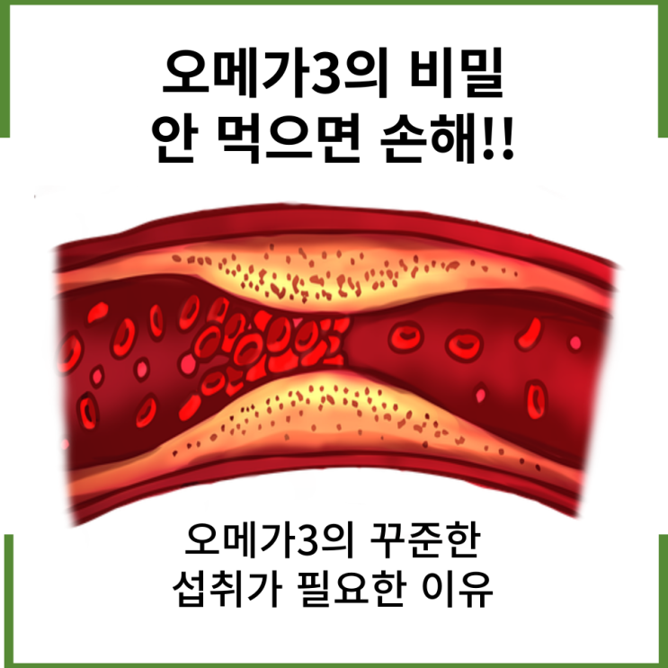  오메가3의 비밀 안 먹으면 손해