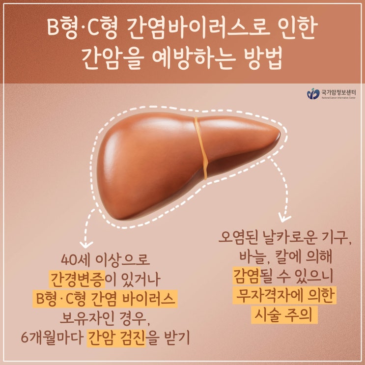 B형·C형 간염바이러스로 인한 간암을 예방하는 방법