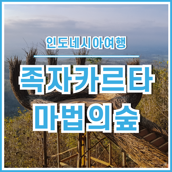  [족자카르타] 마법의 숲과 같은 인도네시아의 소나무숲, 후탄피너스펭게르 Hutan Pinus Pennger 타노스의손 : 인도네시아⑧