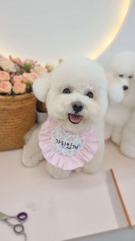 사진 4
