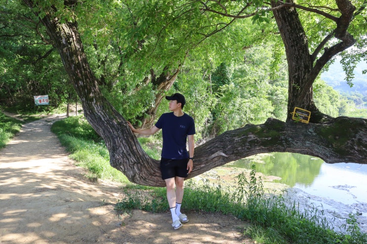  대구 근교 여행 나들이 드라이브 가볼만한곳 반곡지