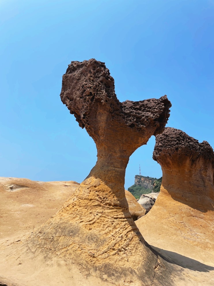  대만 예류지질공원 입장권 여왕바위 볼거리 포토존