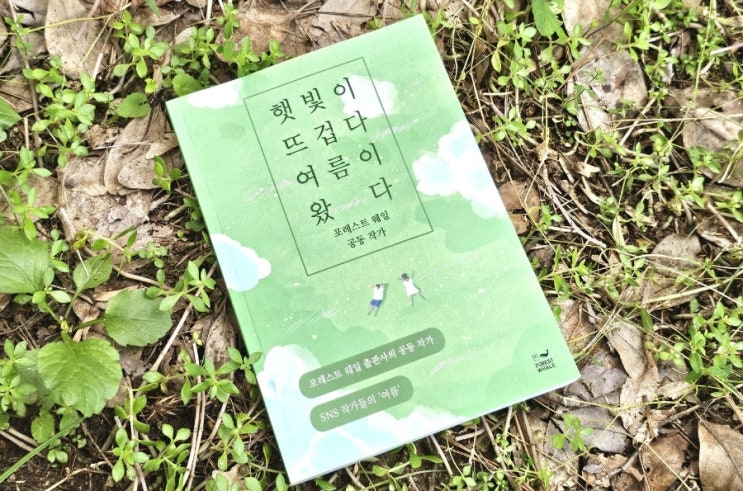  햇빛이 뜨겁다 여름이 왔다 도서