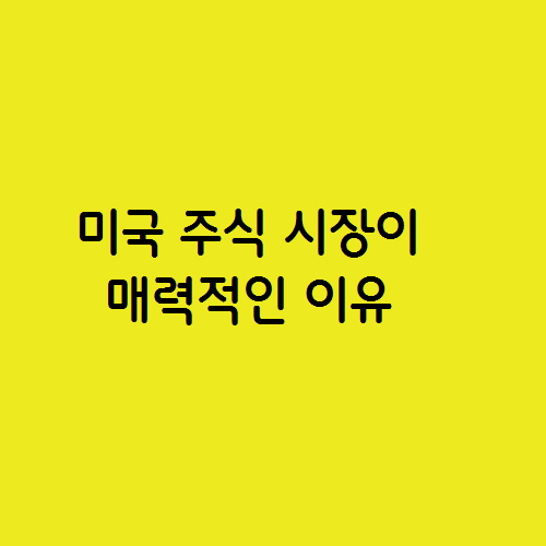 미국 주식 시장이 매력적인 이유