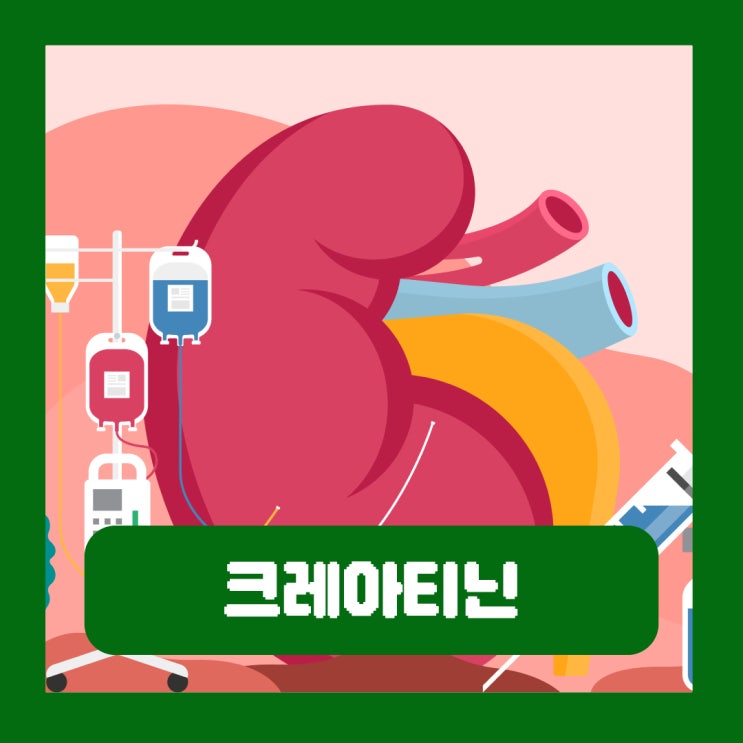  혈중 크레아티닌 정상수치 높으면 낮으면 신장에 생기는 문제
