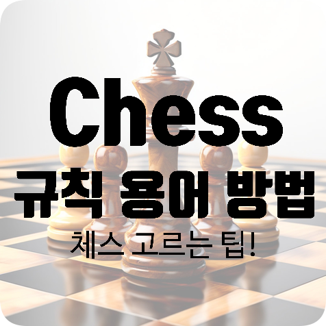 체스 규칙 용어 두는방법 + 체스판 추천
