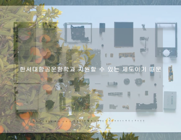 한서대항공운항학과 지원할 수 있는 제도이기 때문 한서대항공운항학과 지원할 수 있는 제도이기 때문