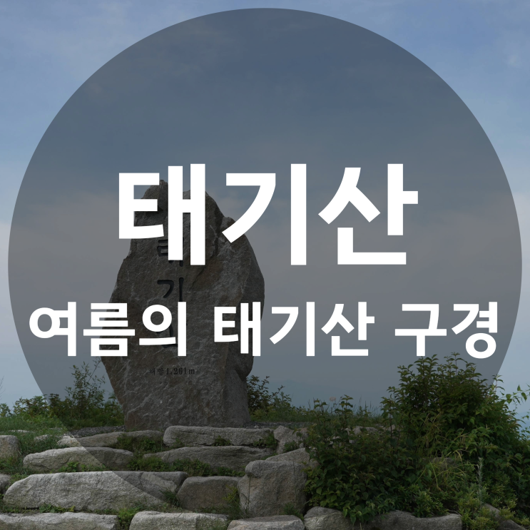  겨울 명산 태기산의 여름 구경