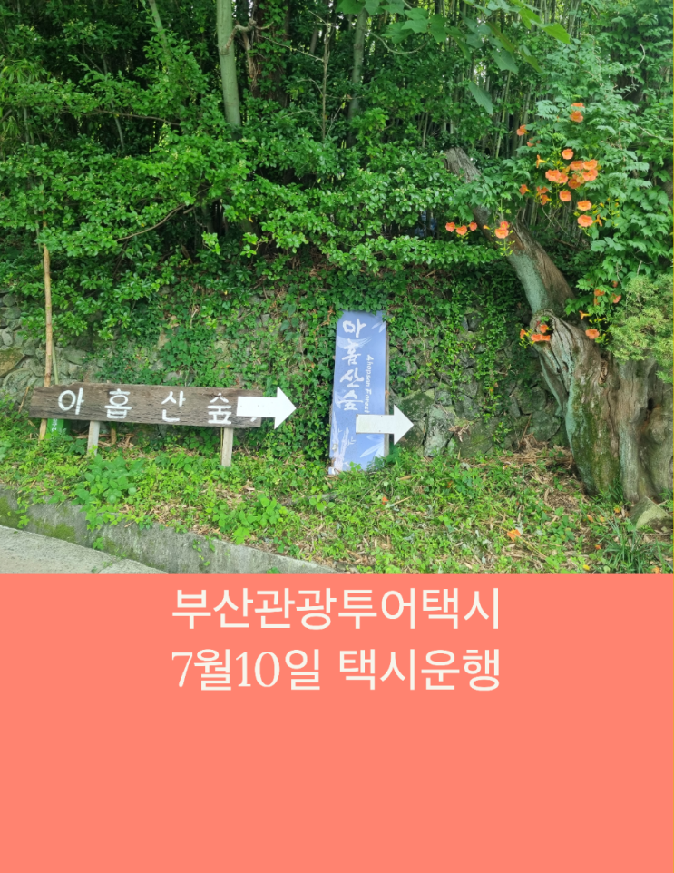  부산택시투어 부산관광택시 가족여행