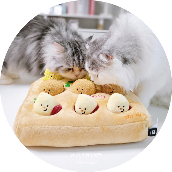  고양이 스트레스 네이버펫 비잇미 농장 타이쿤 노즈워크 먹이퍼즐로 분리불안까지 날려버려요