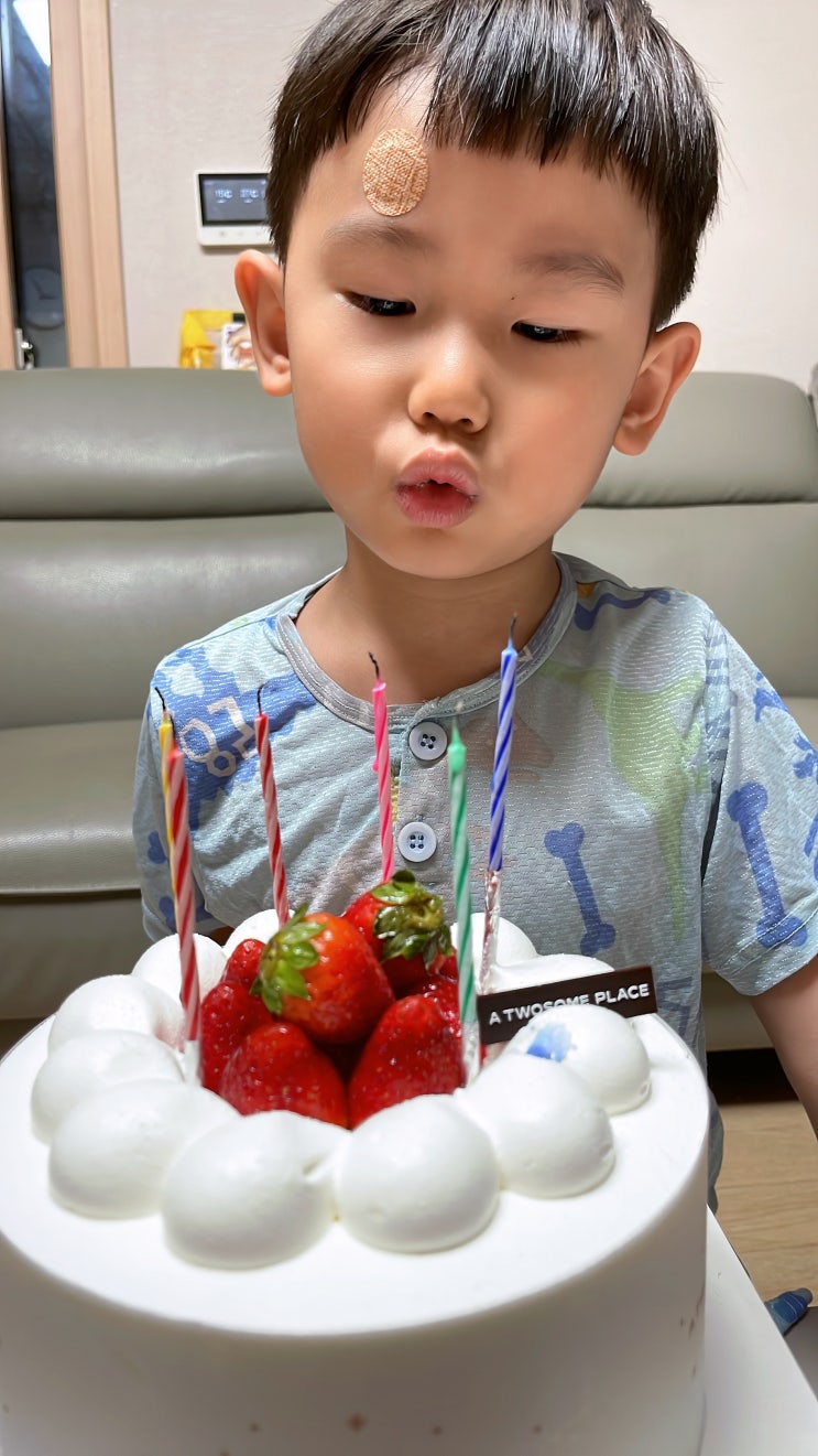  우리아들 귀빠진날 조촐한 가족 생일파티 후기