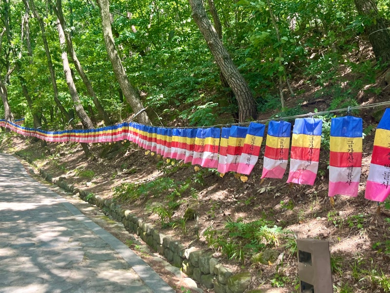 여름방학 역사책 투어 신라 이차돈 순교지, 경주 백률사 : 네이버 블로그