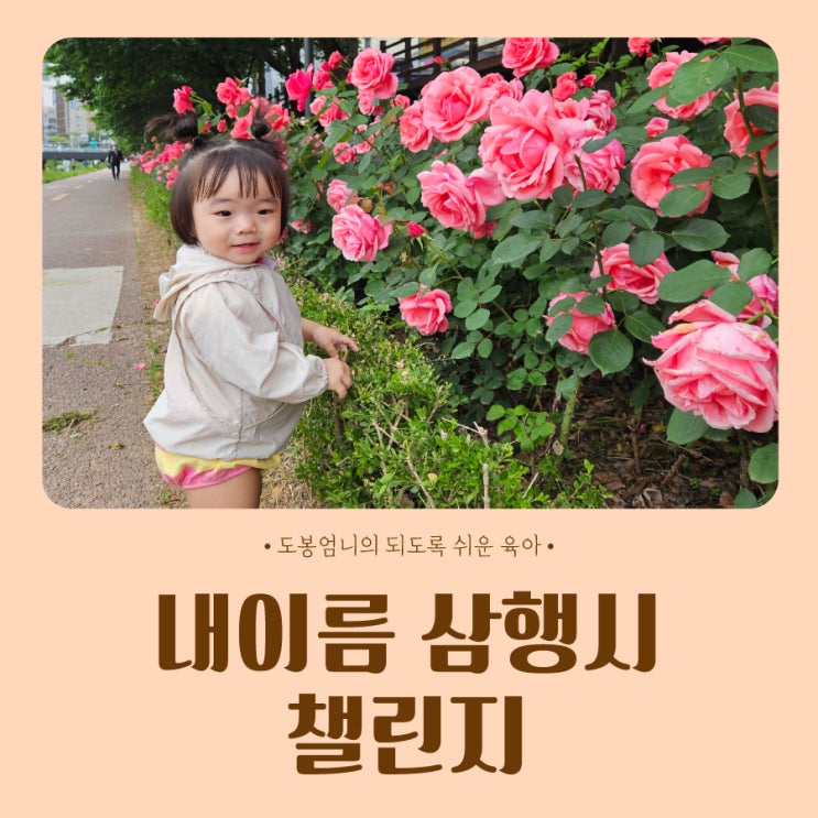  내이름 삼행시 챌린지 by 도봉엄니