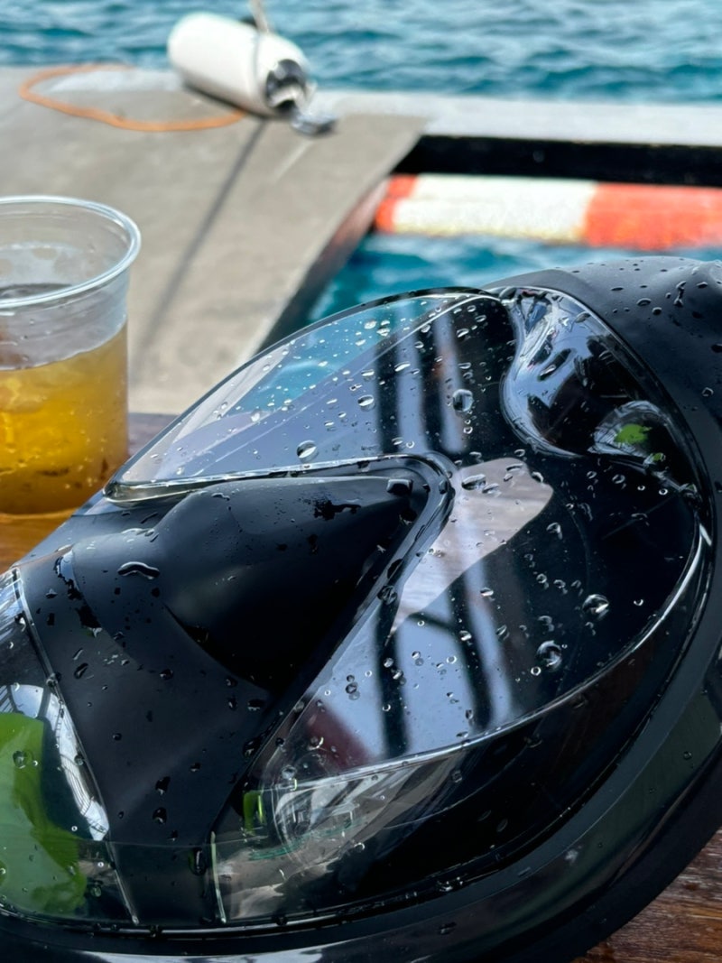 데카트론 이지브레스 900 다이빙마스크 스노클링 마스크 풀페이스마스크 : 네이버 블로그