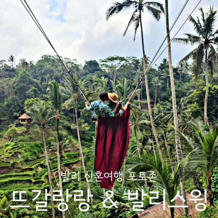  발리 신혼여행 포토존 우붓 그네 발리스윙 & 뜨갈랑랑 계단식 논