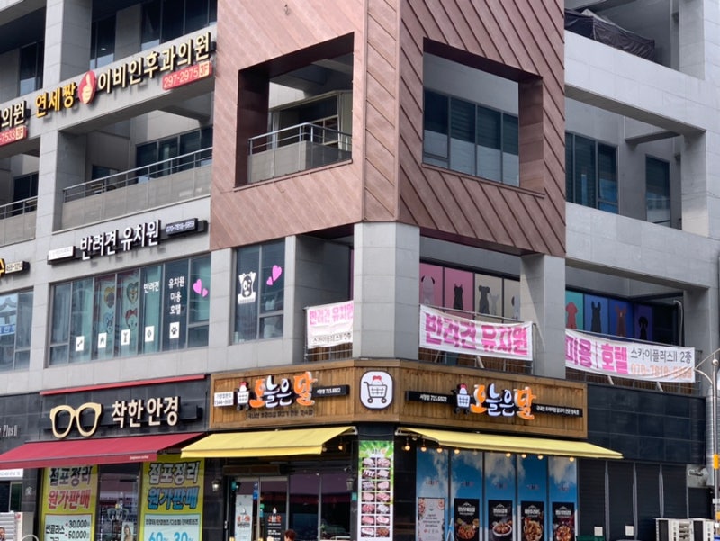 사진 4
