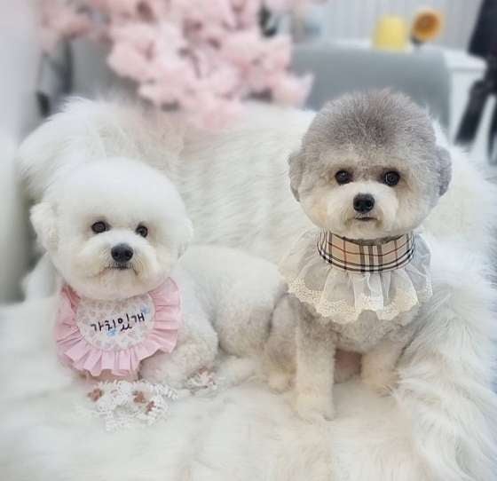 사진 6