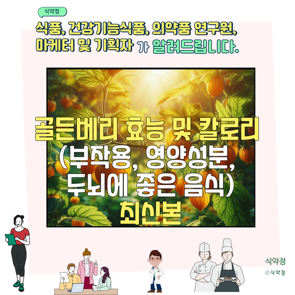  골든베리 효능 및 칼로리 (부작용, 영양성분, 두뇌에 좋은 음식)