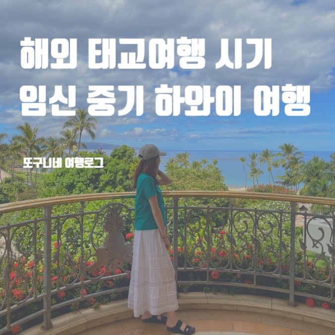  해외 태교여행 시기 & 임산부 해외여행 후기 (임신 중기 하와이 비행기 탑승)