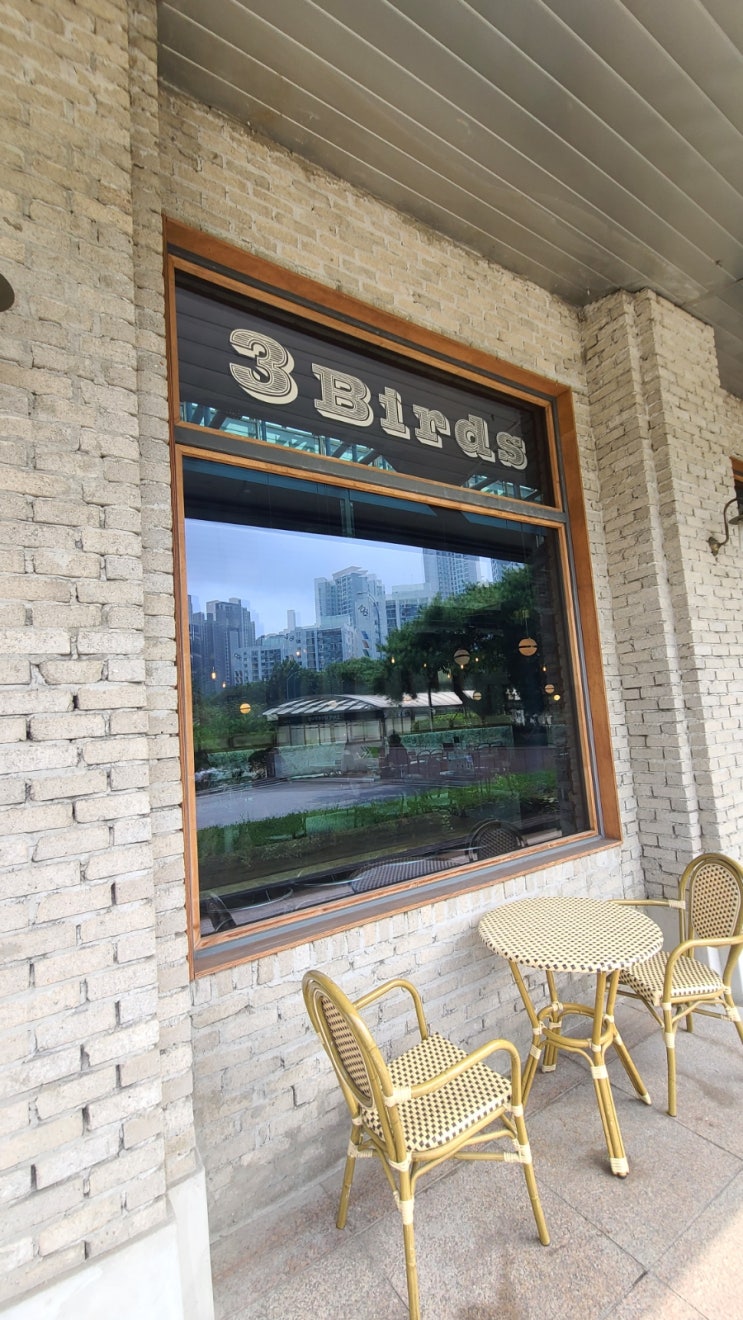  20240711_3 birds(반포)