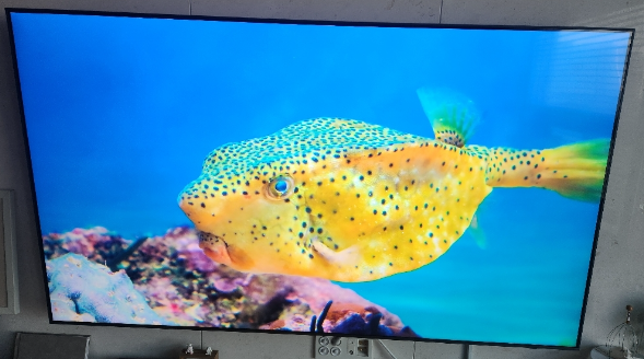  삼성전자 4K QLED TV QC67 벽걸이형 스탠드형 43인치 티비 50인치 55인치 65인치 75인치 85인치 티브이 추천 HDR TV QLED TV 티브이구매 판매 티비구입