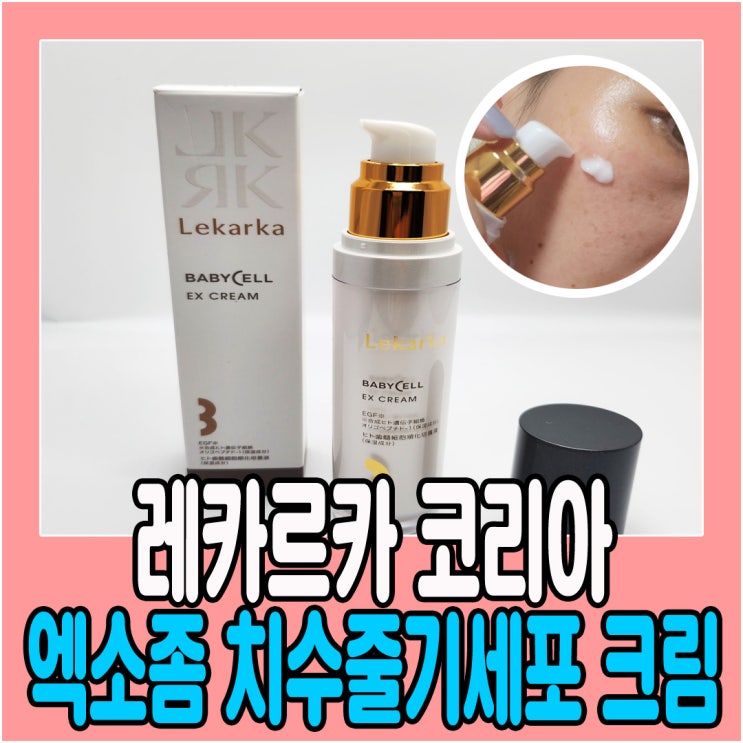  레카르카 엑소좀 치수줄기세포크림 피부재생에 도움주는 에센스 강추