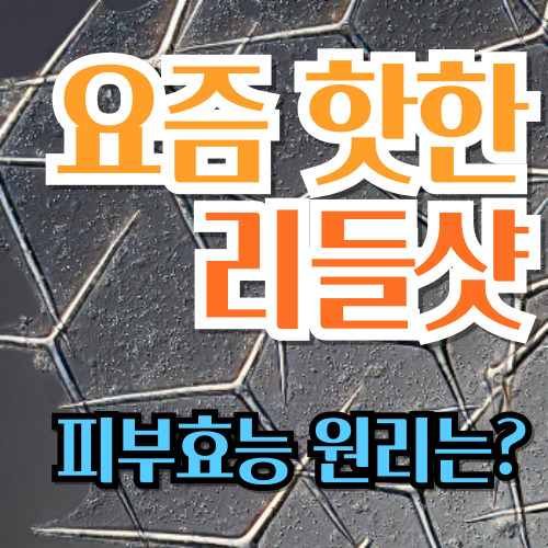  요즘 핫한 리들샷의 피부효능 원리와 주의사항