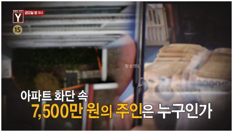  궁금한 이야기Y SBS 아파트 화단 현금 미스터리 돈다발 경비원 CCTV 범죄 불법도박 마약거래 보이스피싱 김제 마늘밭 사건 현금 던지기 7500만원