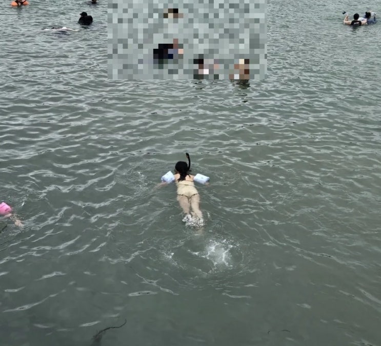  [제주 제주시] 판포포구 스노쿨링 장비 대여, 온수 샤워 가능한 '플레이판포' 후기, 주차, 가격, 물때 확인 ('24.7)