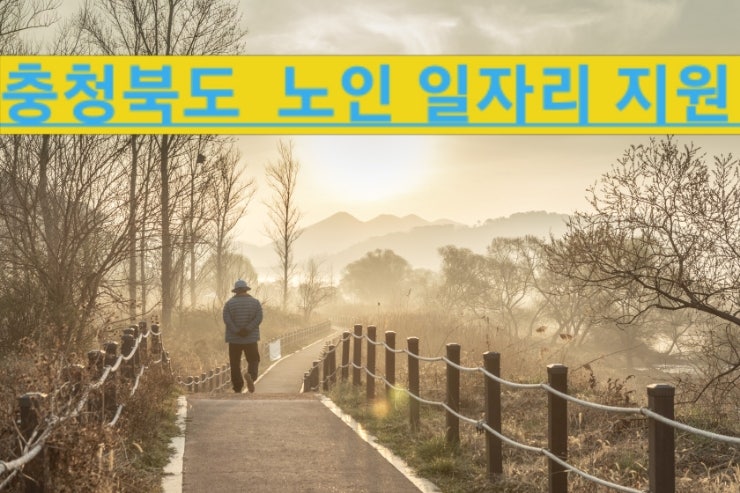  충청북도 복지, 노인 일자리 지원 사업