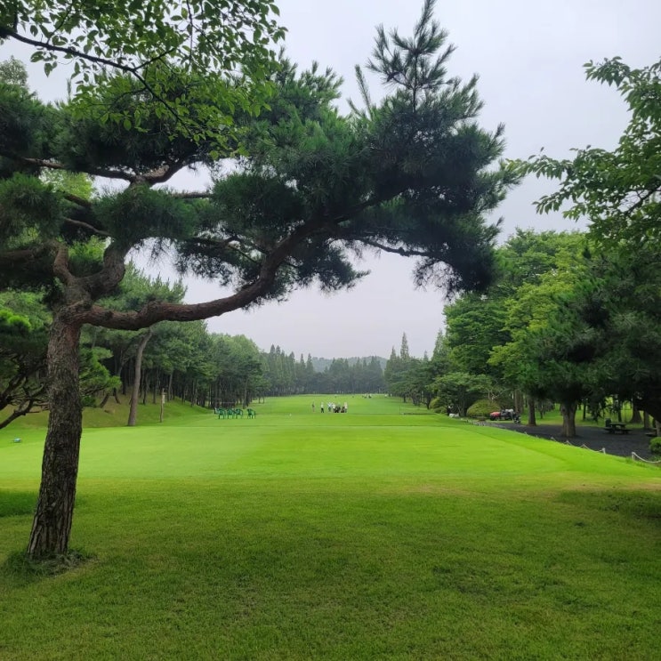  장마철 운좋은 하루. 인천국제골프CC