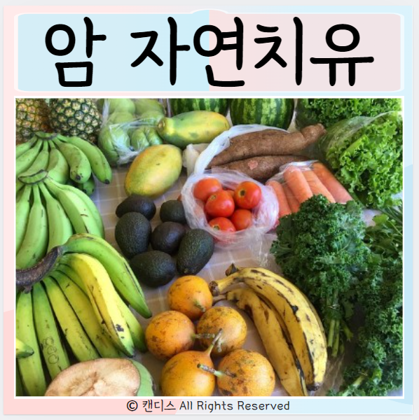  암자연치유란? 방법 식단은?