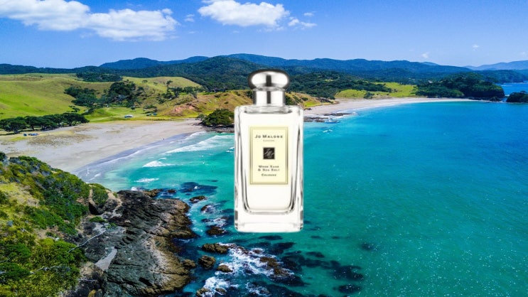  조 말론 런던 우드 세이지 앤 씨 솔트 오 드 코롱100ml