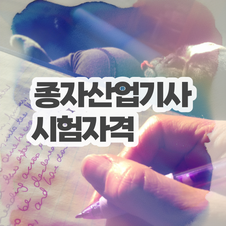  종자산업기사 취득자격 온라인 과정으로 빠르게 완료한 노하우