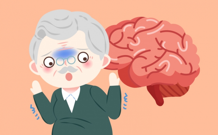  '파킨슨 질환에 동반한 뇌졸중'의 경우 뇌졸중 진단급여금 지급책임 인정여부