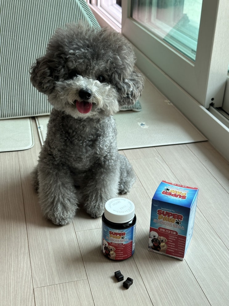 강아지<b>관절</b>영양제 추천! '슈퍼포우 <b>콘드로이친 플러스</b>'