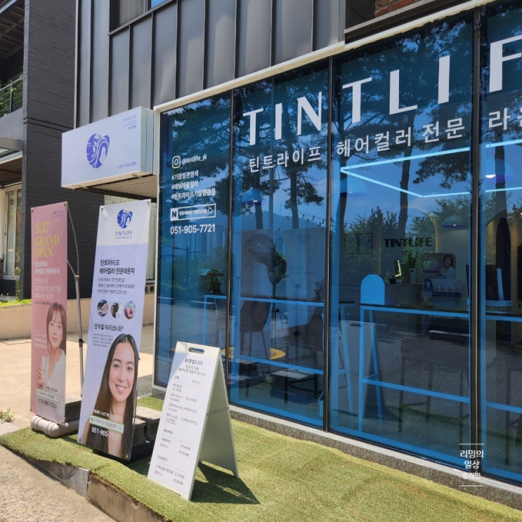  정관 염색 맛집 :: 틴트라이프 기장정관점