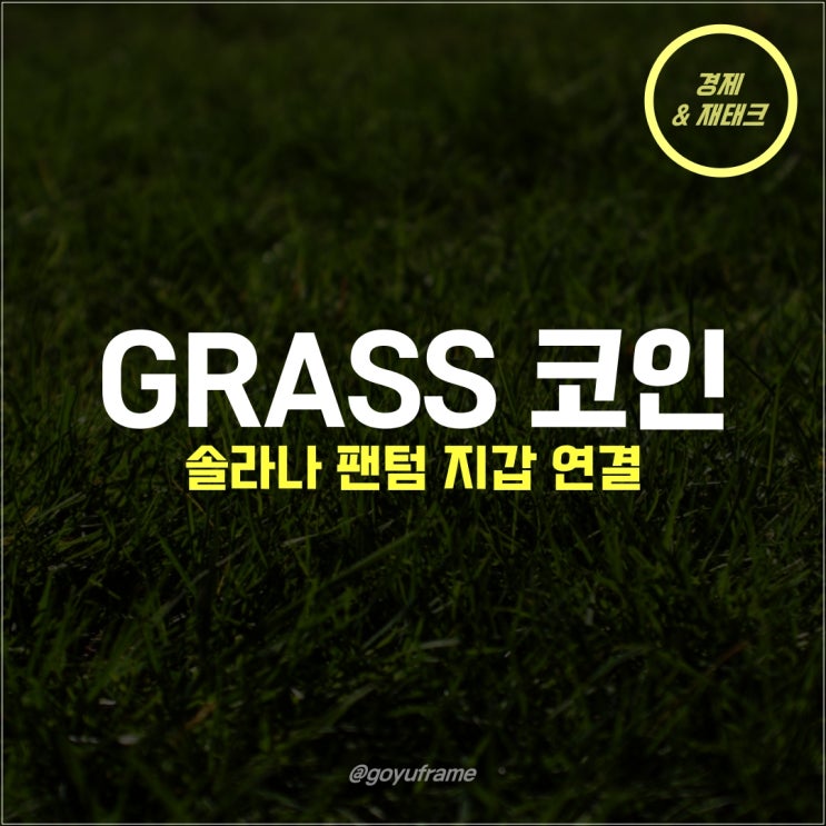  Grass 코인 현황 솔라나 지갑 연결