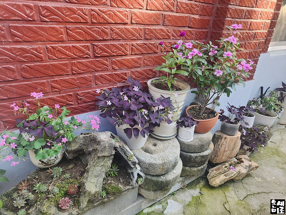 호림산장 사진 5